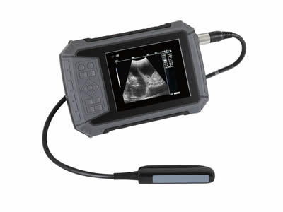Waterproof and Dustproof Veterinary Ultrasound Scanner