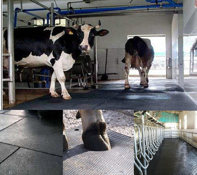 Round Pattern Anti-Slip Cow Rubber Mat