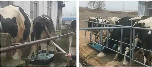 Lengthened Footbath Container