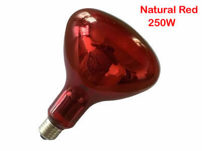 250W Infrared Bulb