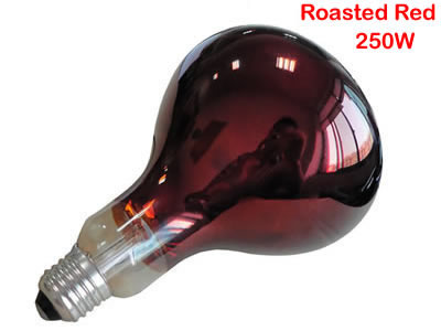 R125 Infrared Heat Lamp