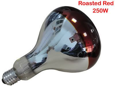 R125 Infrared Heat Lamp