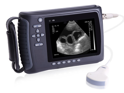Portable Veterinary B-Ultrasonoscope